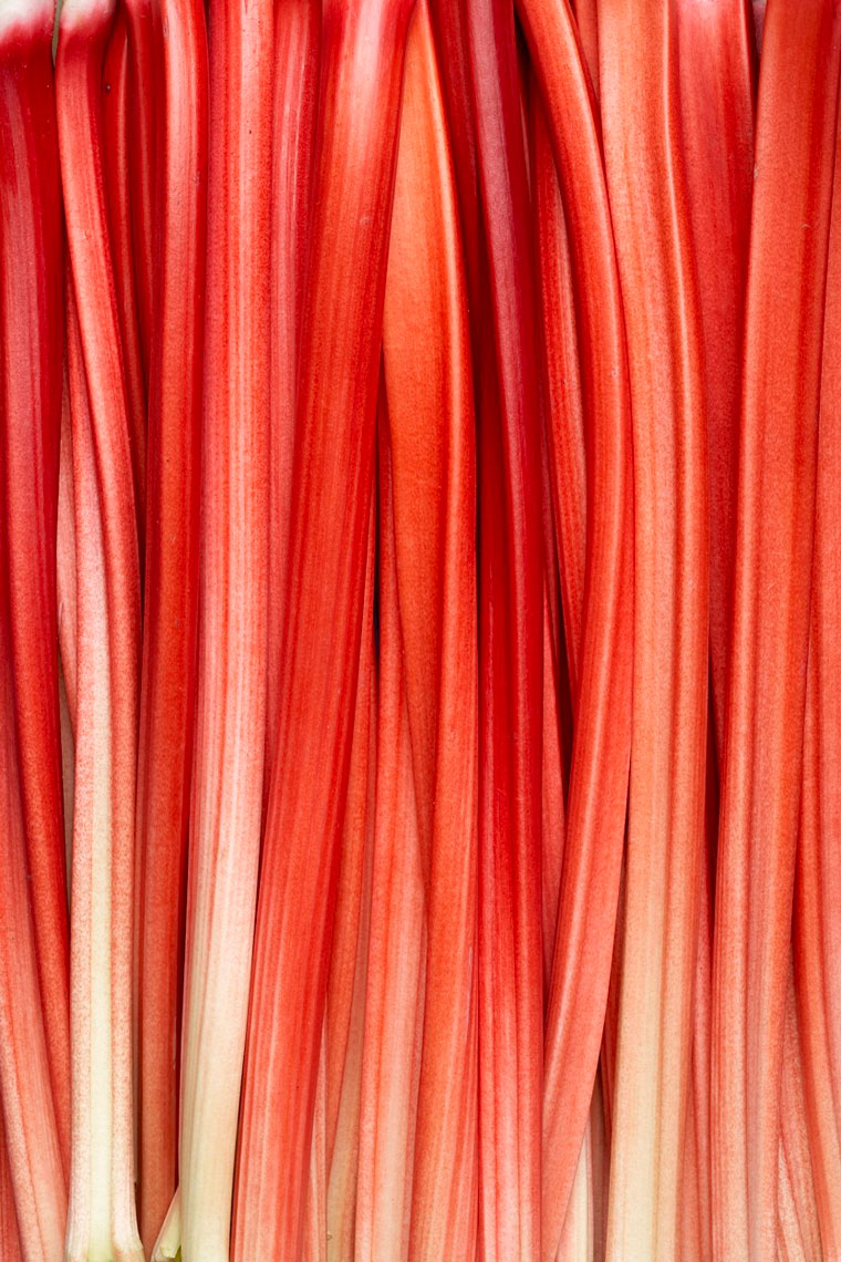 rhubarb-02